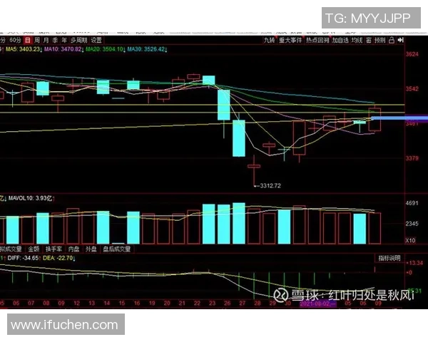 重庆羽毛球队与上海羽毛球队赛后复盘分析比赛节奏与战术对比
